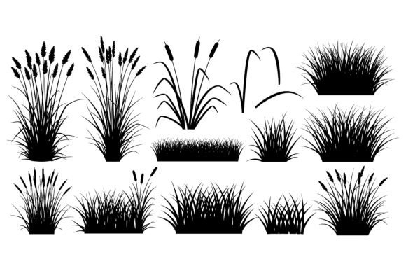 Nature's Black & White: Unlocking Design with Grass & Plant Silhouettes