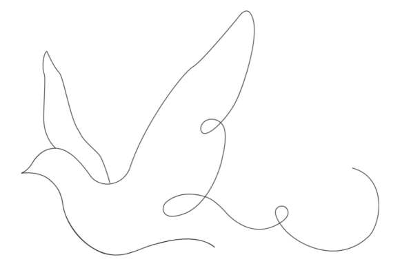 The Graceful Flow of the Continuous One Line Flying Dove